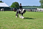 SBM_09341