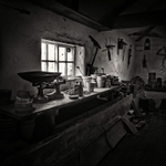 Potting Shed (square format)