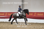 BPP_9232