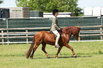 SBM_06812