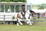 SBM_17654