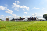 160725-Race 6-Bellarchi-6235