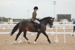 SBM_01849