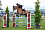 EQUISCOT 9308