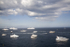 Yachts leave after the race