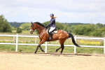 SBM_007600