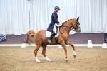 SBM_008968