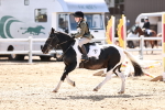 SBM_006919