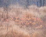 BUG FARM, OCTOBER 2014 - NORFOLK COUNTY