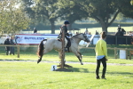 SBM_31847