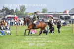 BPP_6982