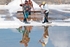 Faro Salt Pan