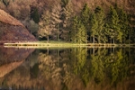 Trentabank reservoir reflections (2)