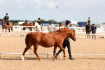 SBM_10943