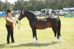 SBM_09117