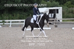 BPP_7955