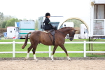 SBM_03381