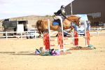 SBM_004033