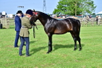 SBM_00945