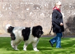 Max Going Home 2