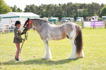 SBM_08881
