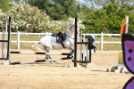 SBM_007425