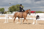 SBM_06341