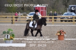 BPP_8428