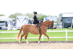 SBM_03383