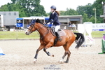 Class 43 British Novice 90cm Open portfolio