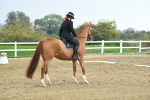 LAD_3762
