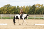 SBM_004494
