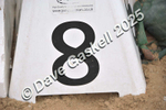 D8F_3799