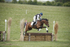 BVHT 140517  NXC -5
