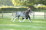 SBM_57943