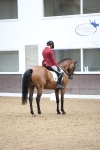 SBM_003864