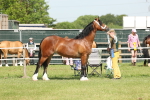 SBM_02319