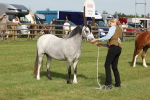 SBM_00647