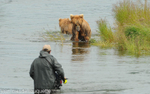 Grizzly and fishermen.