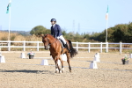 SBM_012444
