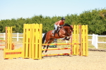 SBM_005991