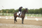 Novice 22 Warm Up Class portfolio