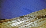 21st Mar 2001