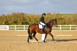 SBM_002686