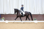 SBM_018971
