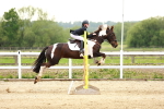 SBM_009542