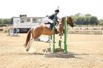 SBM_001903