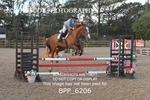 BPP_6206