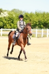 SBM_007186