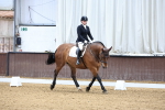 SBM_000485